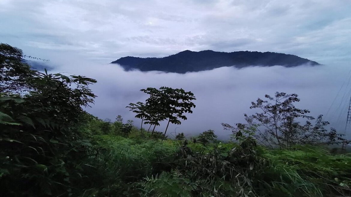 ORGANISER VOTRE VOYAGE – LA REGION SAN MARTIN: