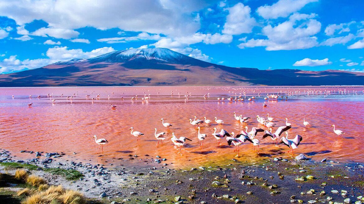 UYUNI ET SA RÉGION