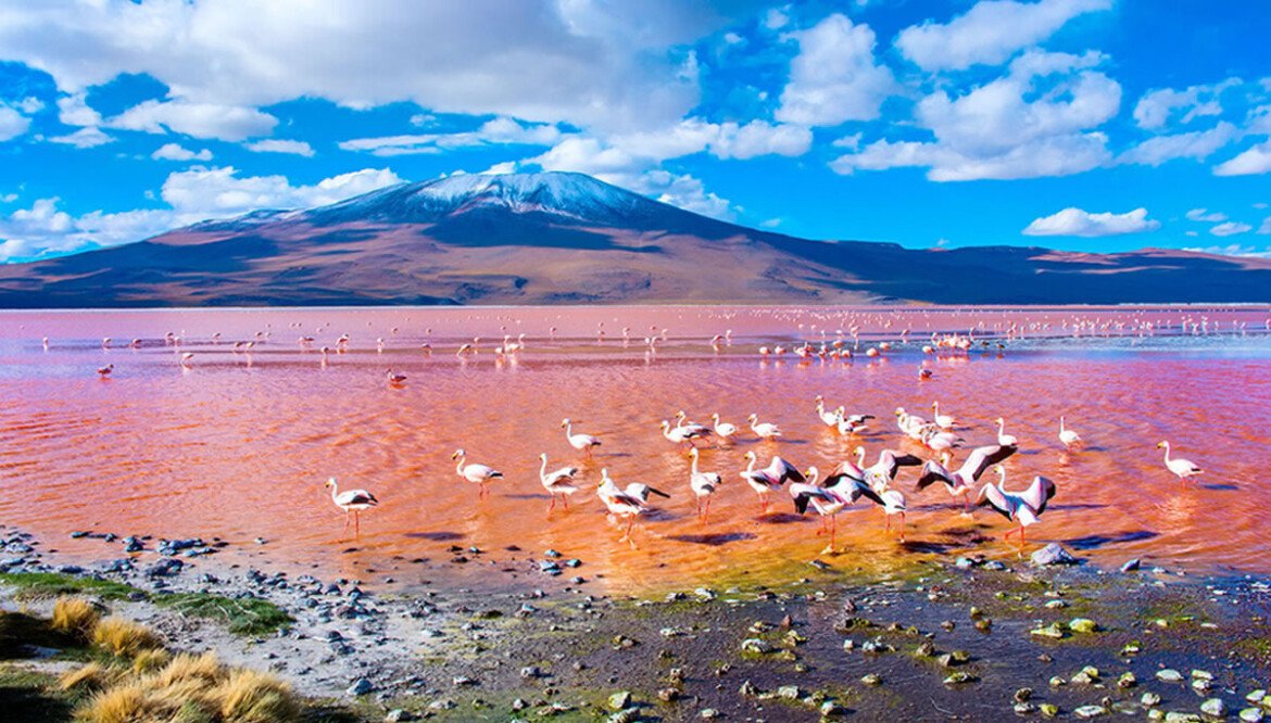 UYUNI ET SA RÉGION