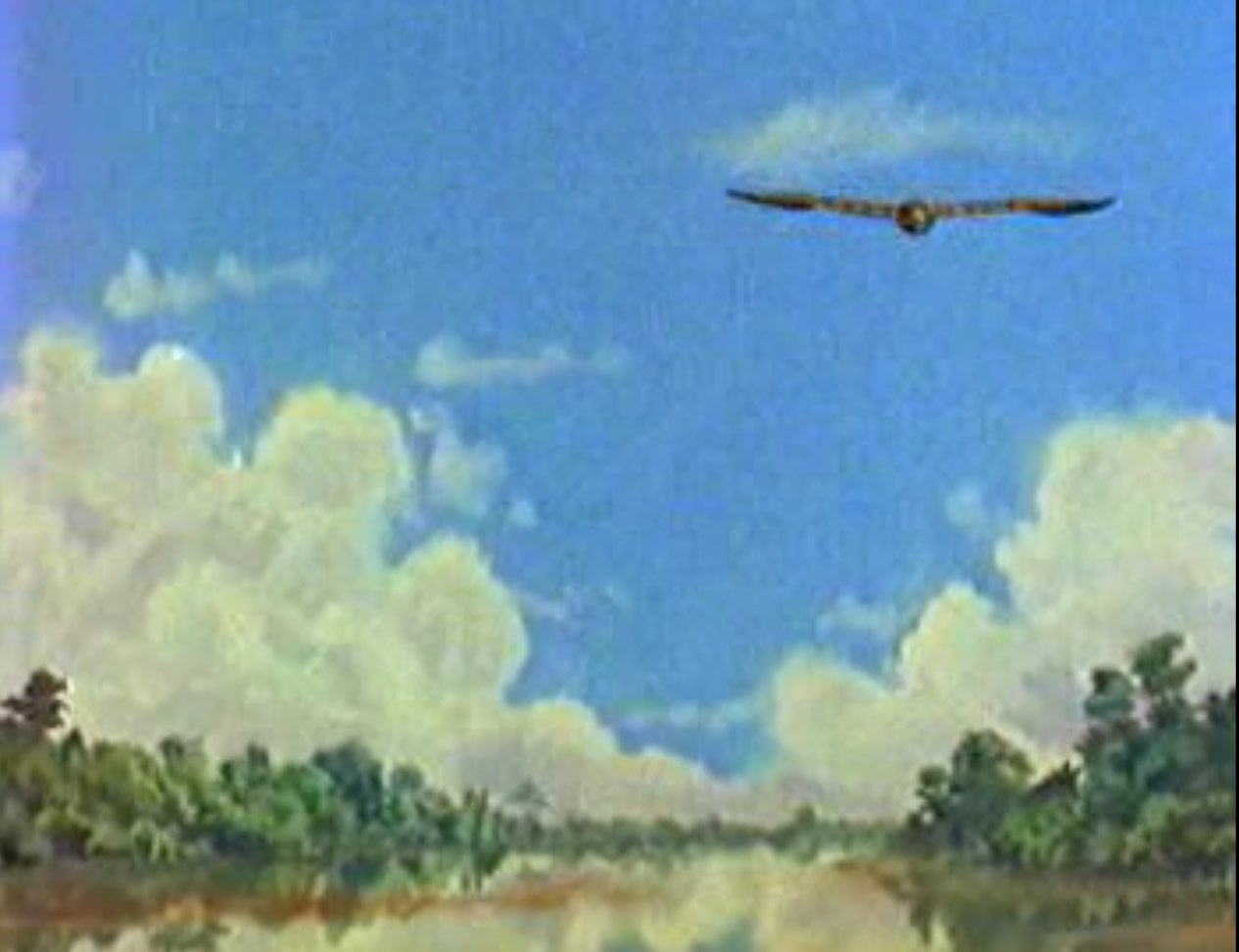 forêt amazonienne 2